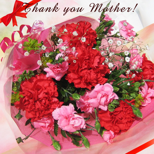 母の日 花束 カーネーションが鮮やか ピンク 赤 楽天市場 母の日ギフト 花 母の日ギフト セット 激安 送料無料